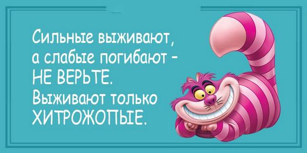 – На что жалуетесь? – Доктор, мне бабы не дают...