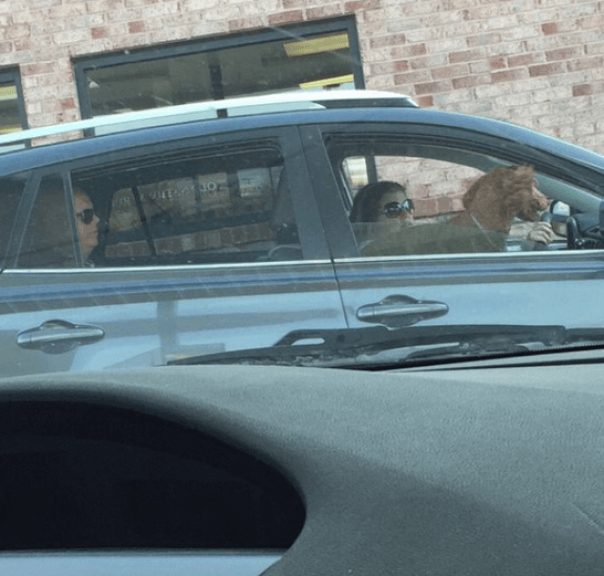 когда ты как твоя жена