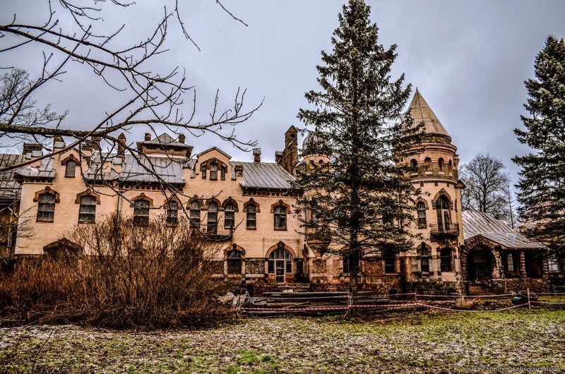 Семь малоизвестных достопримечательностей под Петербургом, о которых молчат гиды 