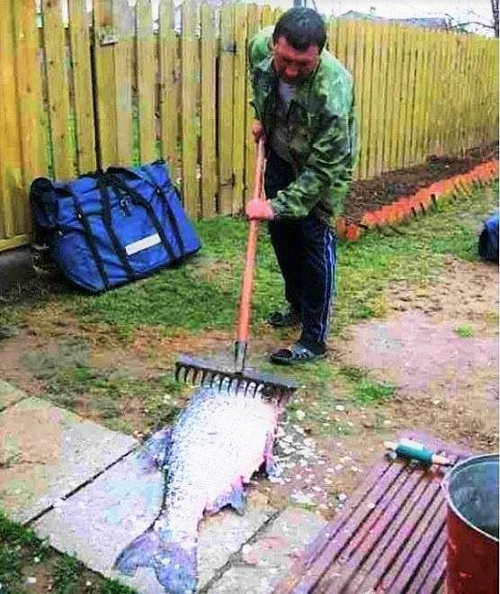 Хочу уже оливье и бухать шампанское! анекдоты