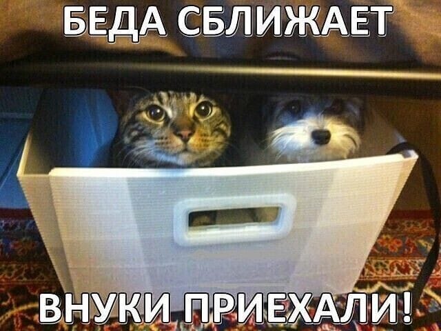 — Извините, можно у вас взять интервью? — У меня?!.. женщина, гулящая, интимные, отношения, рабочий, вступил, позвонила, растрогалась, всеми, оказалась, американская, потом, решила, завод, проверить, подарила, очень, половой, швейцарские, говорит