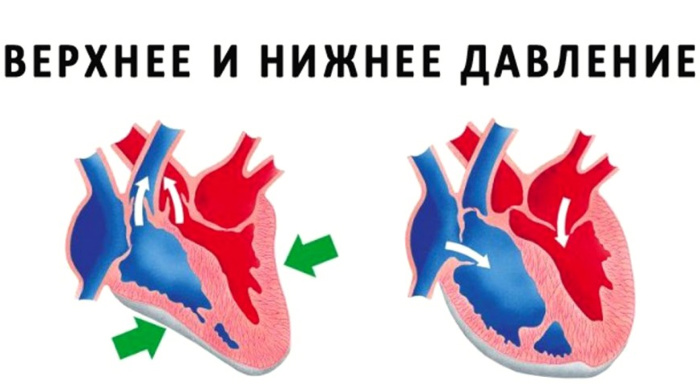 Разница между верхним и нижним давлением – все, что нужно знать давление, давления, между, разница, нужно, может, давлением, когда, нижним, показатели, верхним, могут, верхнего, образ, нормой, разрыв, нижнего, жизни, изменения, состояние