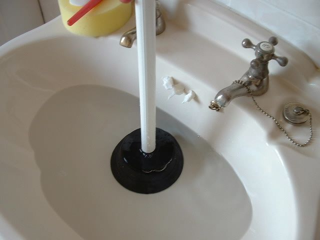 plunge sink2