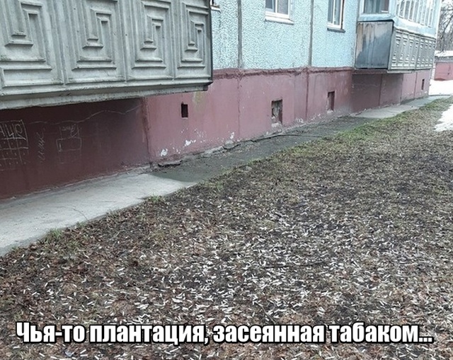 Подборка забавных, смешных и позитивных фото приколов из сети с надписями Подборка забавных, смешных и позитивных фото приколов из сети с надписями