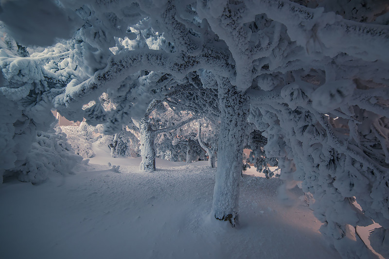 Зима в Пятигорске зима, природа, пятигорск, фото