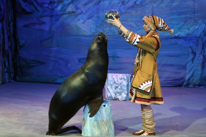 История появления в России цирковой династии Дуровых История появления в России цирковой династии Дуровых