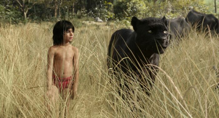 Кадр из фильма «Книга джунглей». / Фото: www.kinopoisk.ru