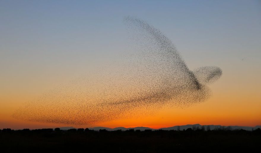 Фотограф сделал уникальные снимки, а узнал об этом только дома