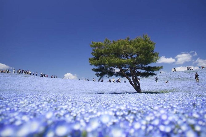 13 безупречно красивых мест голубой планеты природа
