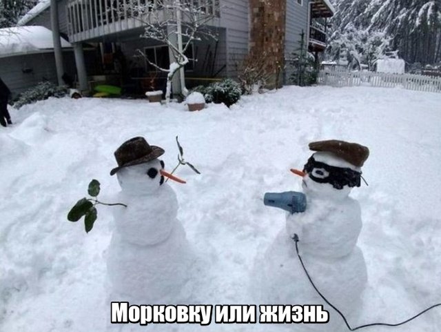 Фотоподборка субботы  