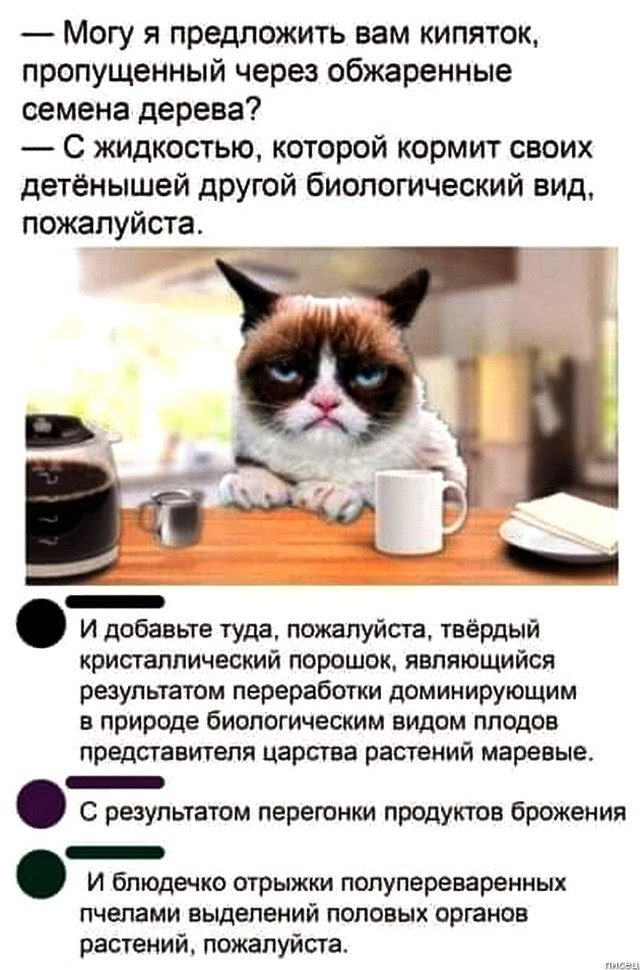 Свежий юмор из социальных сетей. Класс! Свежий юмор из социальных сетей. Класс! позитив,смешные картинки,юмор