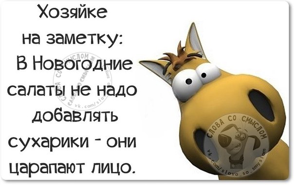 Прикольные фразочки в картинках :) Прикольные фразочки в картинках :)