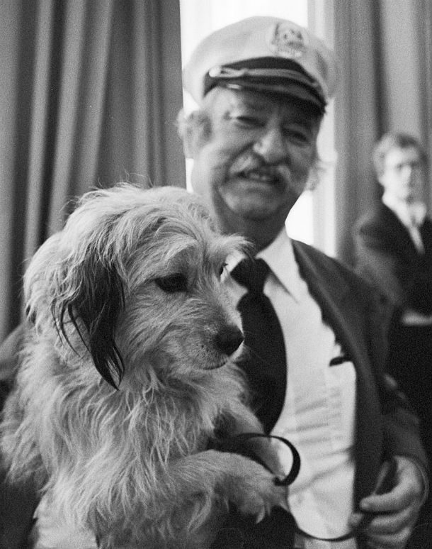 14 самых известных собак в истории 14 самых известных собак в истории животные