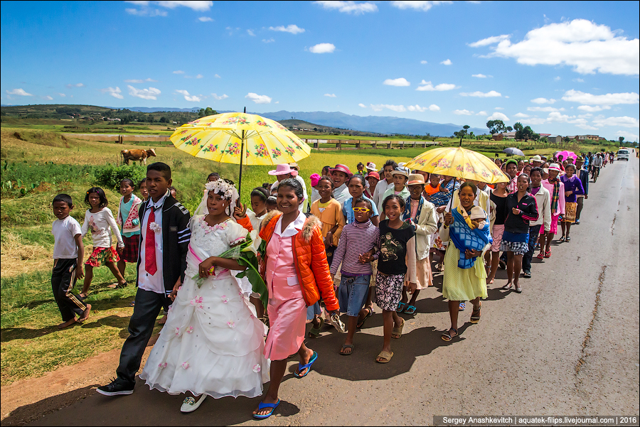 Мадагаскарская свадьба