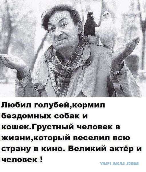 Когда знаменитости нормальные люди. Только не показывайте Пугачёвой! Когда знаменитости нормальные люди. Только не показывайте Пугачёвой! Заморские звезды,развлечение,фото,шоубиz,шоубиз