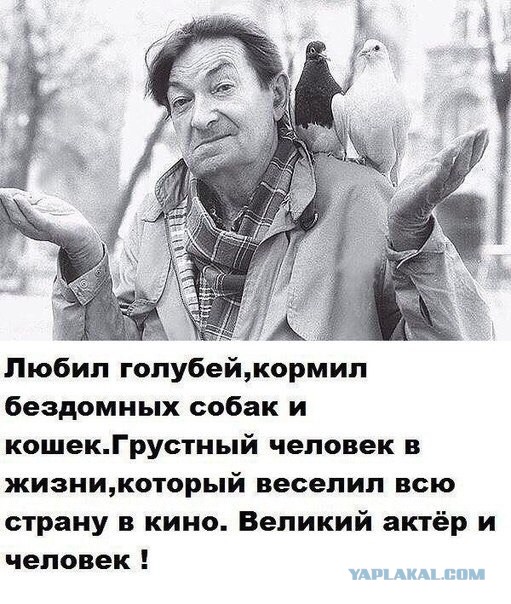 Когда знаменитости нормальные люди. Только не показывайте Пугачёвой! Заморские звезды,развлечение,фото,шоубиz,шоубиз