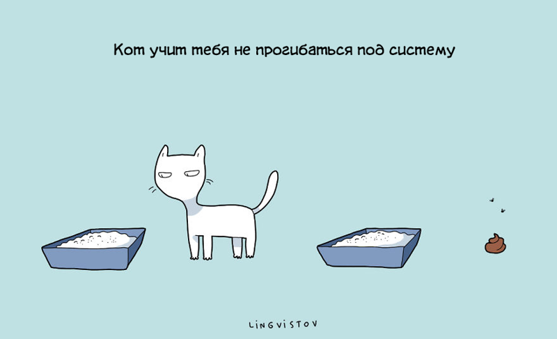 21 преимущество жизни с котом животные, иллюстрации, кошки