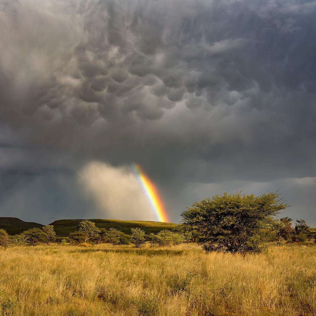 Выбираете на свой вкус любое количество Выбираете на свой вкус любое количество заграница,путешествие,страны,туризм