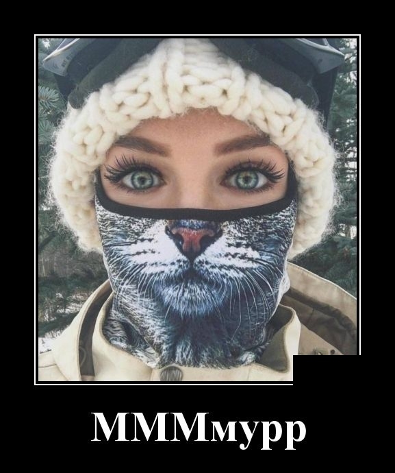 Демотиваторы на 12 февраля