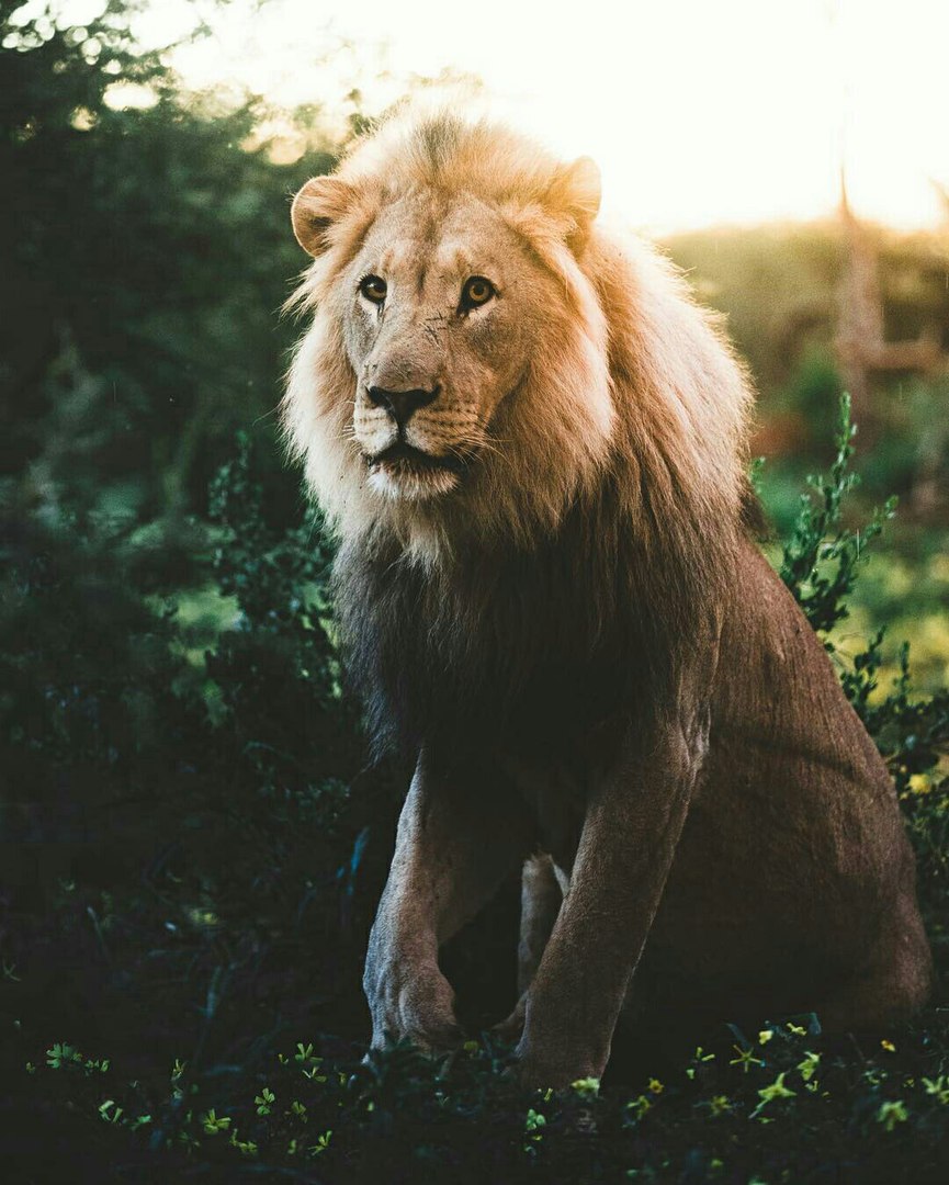 Выбираете на свой вкус любое количество Выбираете на свой вкус любое количество заграница,путешествие,страны,туризм