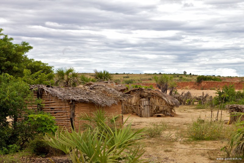 Типичная деревня где живут «Чёрные копатели», на острове Мадагаскар. 