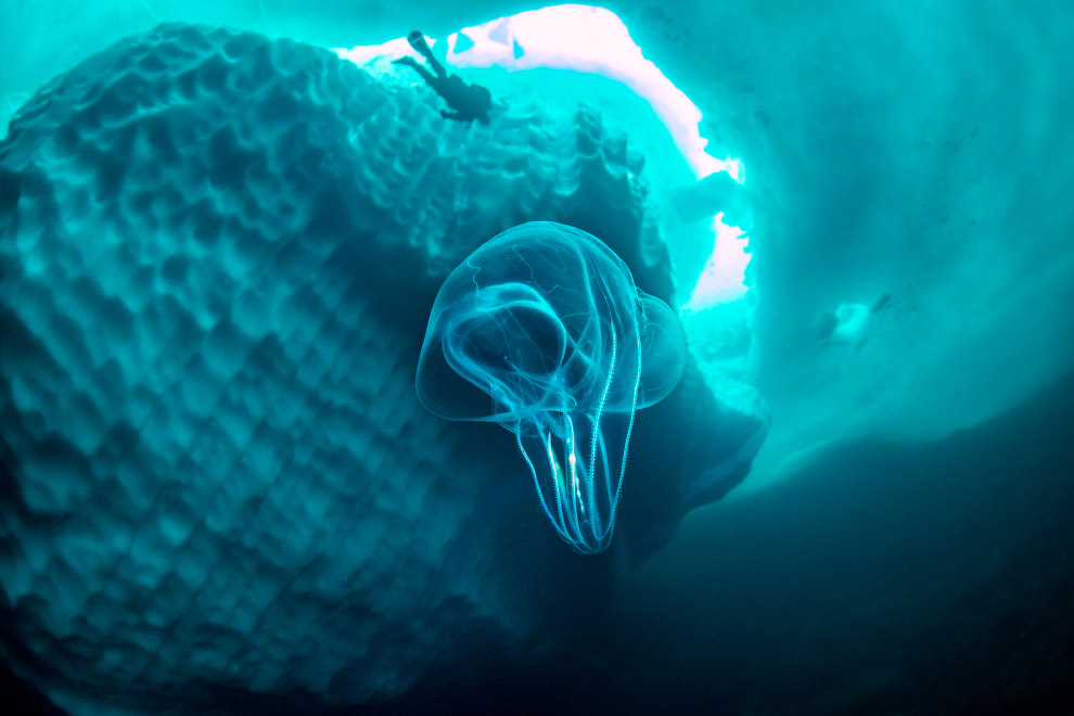 Stunning photos show ice dive beneath giant iceberg