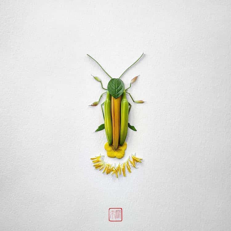 Цветочные насекомые от канадского художника 