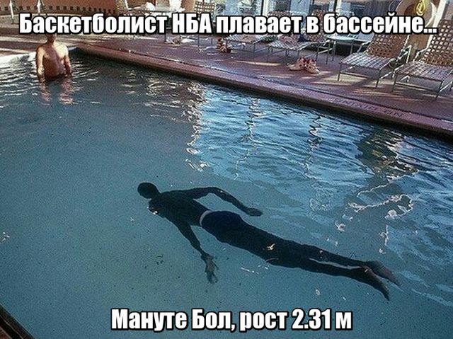 Подборка картинок