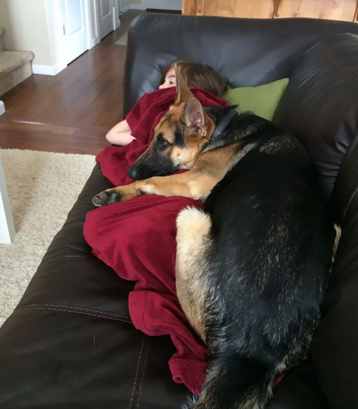 Whenever I'm Sick, My Dog Thinks His Love Is The Cure