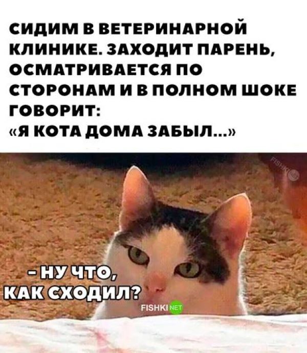 Немного юмора в пятницу 