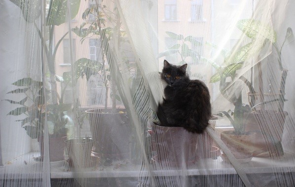 «Я у мамы инженер»: 25 примеров нестандартного решения проблем при помощи подручных средств «Я у мамы инженер»: 25 примеров нестандартного решения проблем при помощи подручных средств домашний очаг,,очумелые ручки,своими руками,умелые руки,юмор