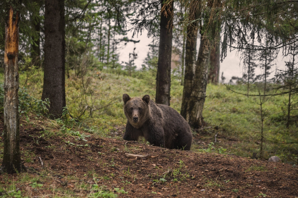 Фото: © VK/ Сергей Гармашов