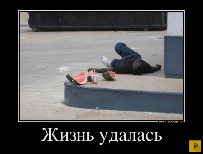 Демотиваторы от 04.02.2016 (46 фото)