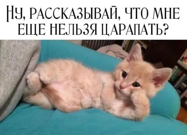 Умный мужчина ценит в женщинах красоту и веселый нрав, мудрый - отсутствие претензий Умный мужчина ценит в женщинах красоту и веселый нрав, мудрый - отсутствие претензий говорит, возвращается, горячую, когда, домой, экскурсии, откуда, кухне, второй, молоток, каждый, Лучше, кастрюлю, вопрос, сказки, аистов, журавль, капусту, синица, нынешних