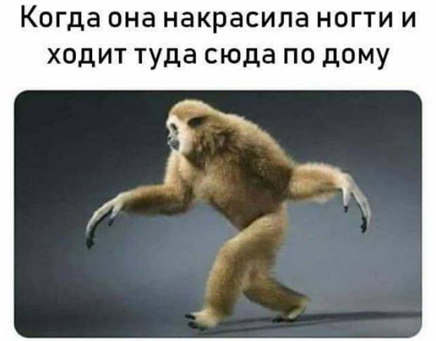 Есть такая примета - если машину помыть, то дождь пойдет... Есть такая примета - если машину помыть, то дождь пойдет... весёлые, прикольные и забавные фотки и картинки, а так же анекдоты и приятное общение