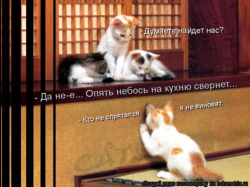 Свежая котоматрица для всех на выходные 