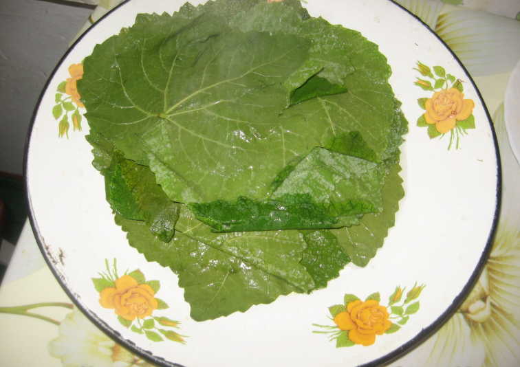 Что лечит виноград: очищаем сосуды, забываем о подагре! Всем хороши эти ягоды и листья!