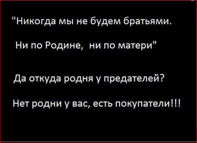 Никогда мы не будем братьями… Никогда мы не будем братьями…