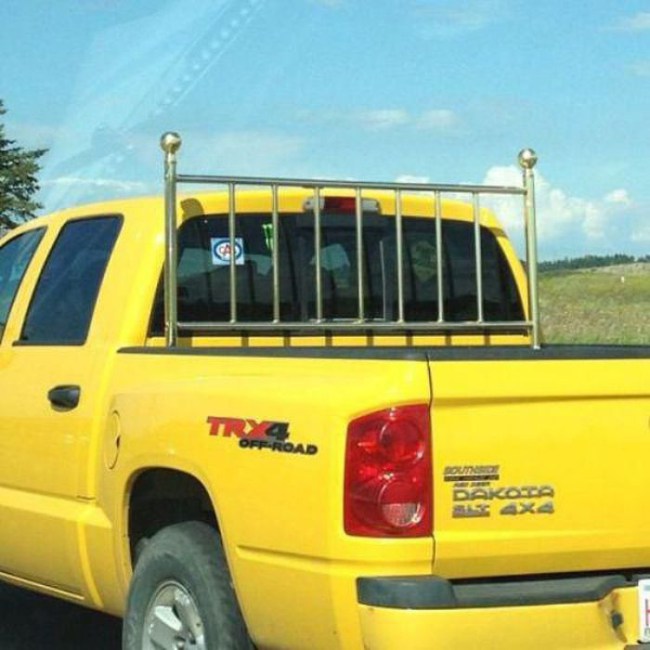 когда идиотизм граничит с гениальностью