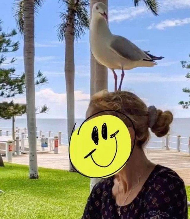 Делаю что хочу! Делаю что хочу!