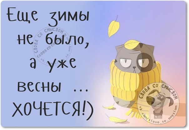 А я никогда в школе не дергал девочек за косички, потому что один раз в деревне я дернул за хвост коня анекдоты,веселые картинки,приколы,Хохмы-байки,юмор