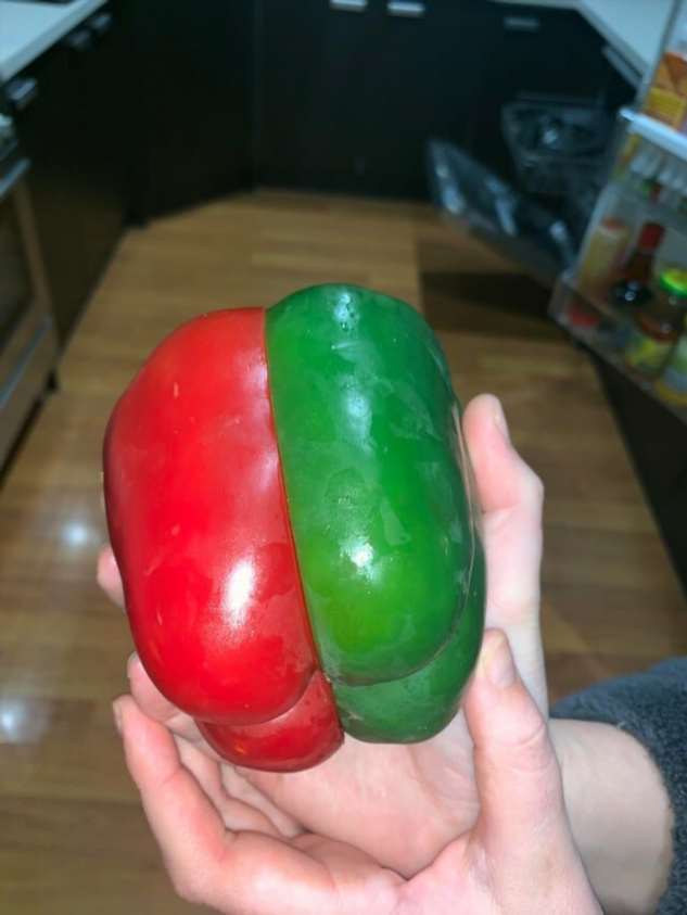 Мы живем в матрице