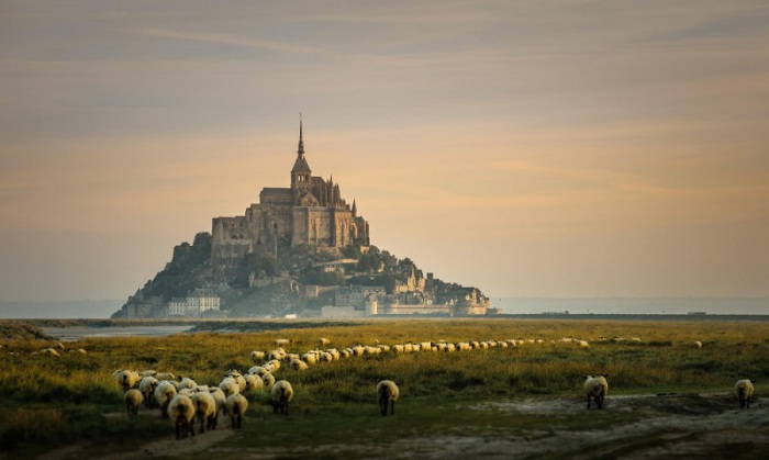Небольшой скалистый остров, превращённый в остров-крепость, на северо-западном побережье Франции. Остров является единственным обитаемым из трех гранитных образований бухты Сен-Мишель.