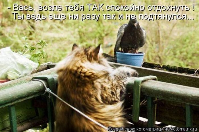 Мысли вслух :)