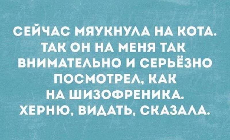 17 забавных историй для отличного настроения. Всё из жизни, как под копирку!