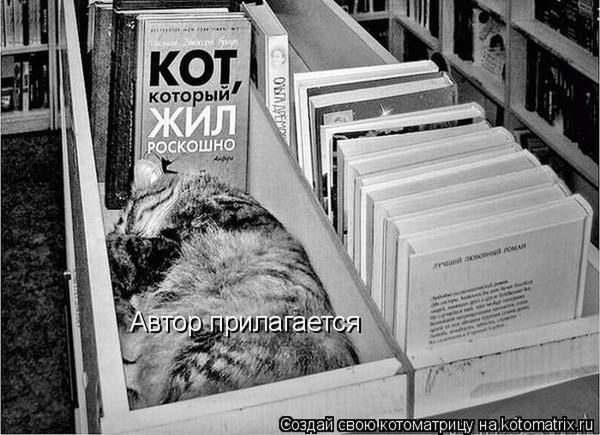 Если вы слишком много работаете - заведите кота. Силой личного примера он перетянет вас на сторону истинных ценностей: отдыха и ленивого созерцания (котоматрицы) Если вы слишком много работаете - заведите кота. Силой личного примера он перетянет вас на сторону истинных ценностей: отдыха и ленивого созерцания (котоматрицы)