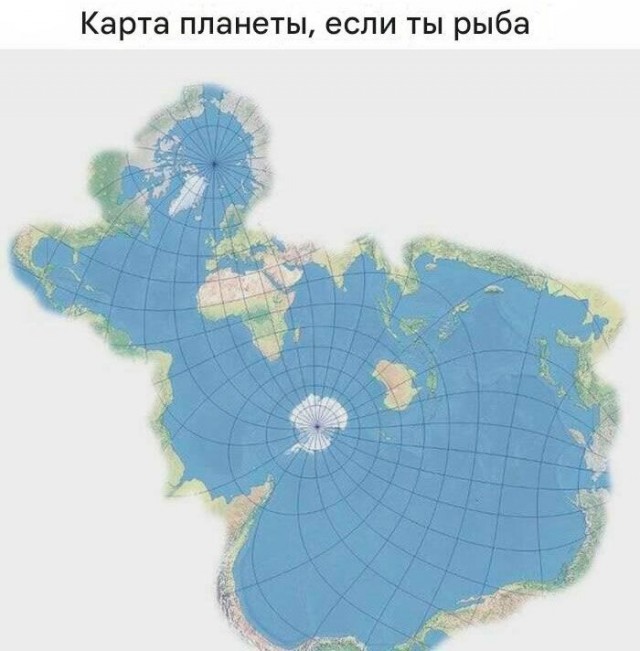Юмор для тех, кто уже повзрослел и понял, что «любимый сериал» — это тот, под который хорошо засыпается 