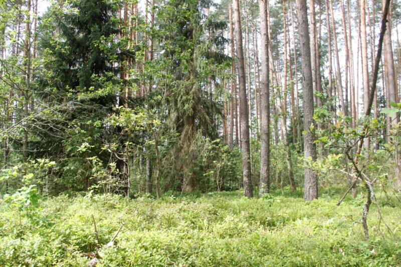 В Тверской области утверждены границы восьми особо охраняемых природных территорий