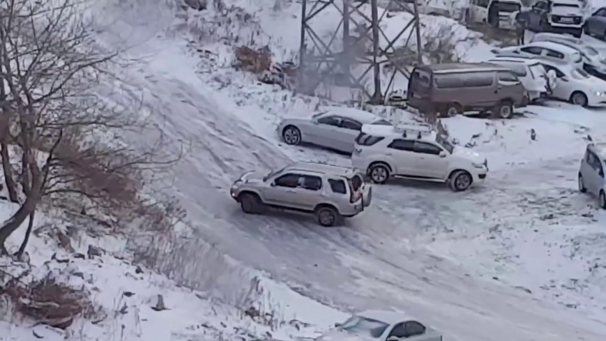 «Мыши плакали, кололись, но продолжали грызть кактус»