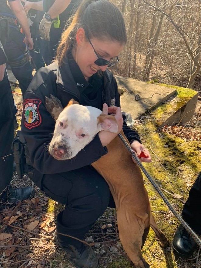 Собака и женщина